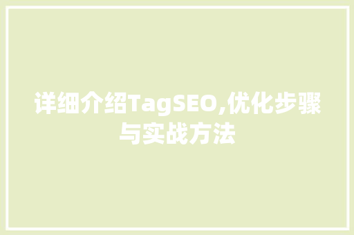 详细介绍TagSEO,优化步骤与实战方法