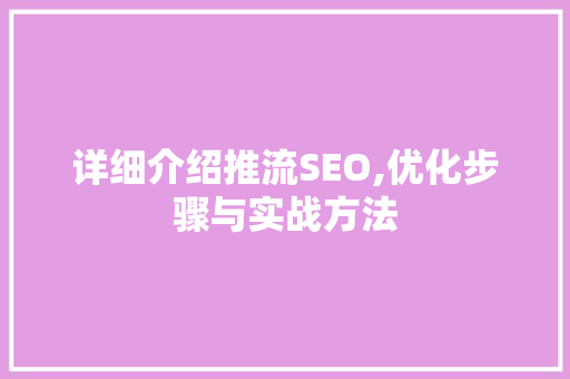 详细介绍推流SEO,优化步骤与实战方法