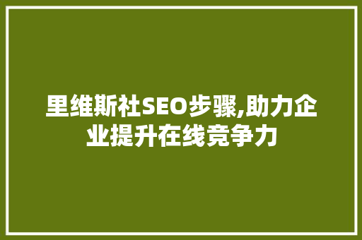 里维斯社SEO步骤,助力企业提升在线竞争力