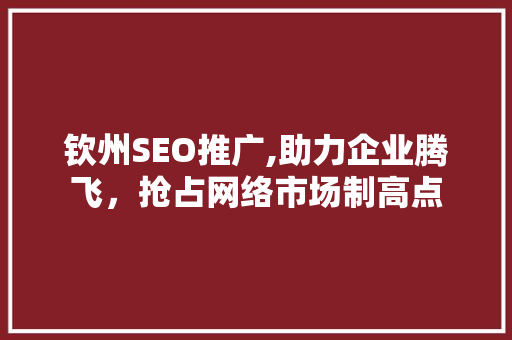 钦州SEO推广,助力企业腾飞，抢占网络市场制高点
