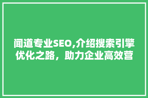闻道专业SEO,介绍搜索引擎优化之路，助力企业高效营销