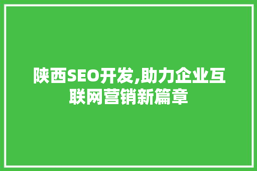 陕西SEO开发,助力企业互联网营销新篇章