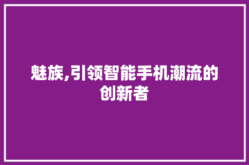 魅族,引领智能手机潮流的创新者