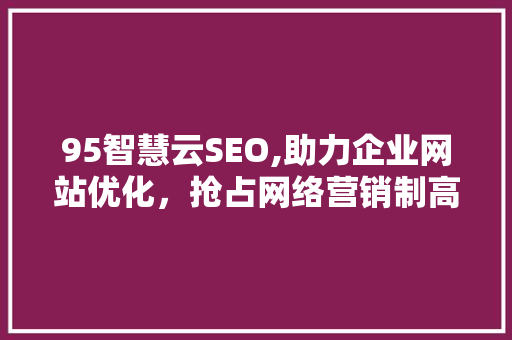 95智慧云SEO,助力企业网站优化，抢占网络营销制高点