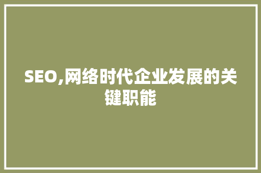 SEO,网络时代企业发展的关键职能