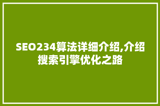 SEO234算法详细介绍,介绍搜索引擎优化之路