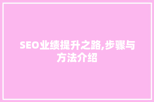 SEO业绩提升之路,步骤与方法介绍
