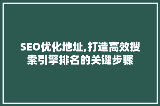 SEO优化地址,打造高效搜索引擎排名的关键步骤