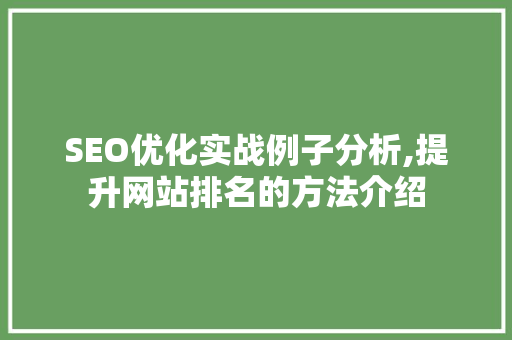 SEO优化实战例子分析,提升网站排名的方法介绍
