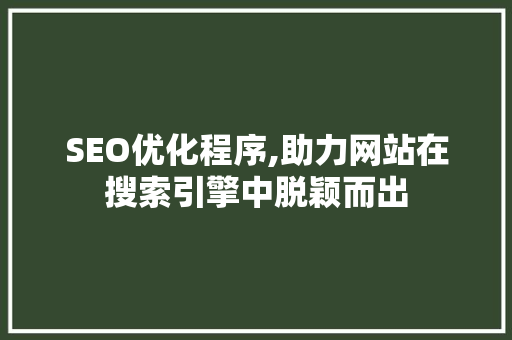 SEO优化程序,助力网站在搜索引擎中脱颖而出