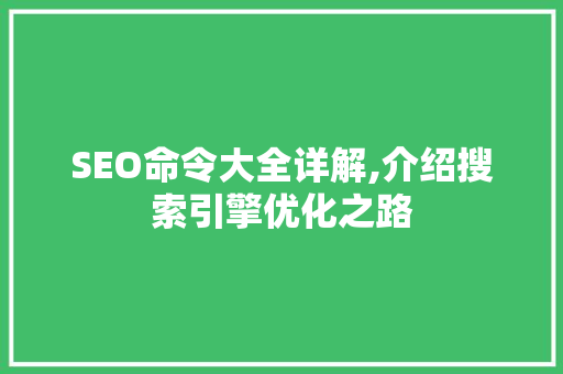 SEO命令大全详解,介绍搜索引擎优化之路