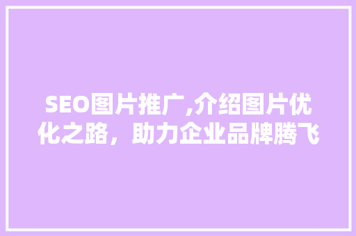 SEO图片推广,介绍图片优化之路，助力企业品牌腾飞