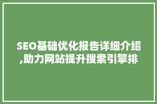 SEO基础优化报告详细介绍,助力网站提升搜索引擎排名之路