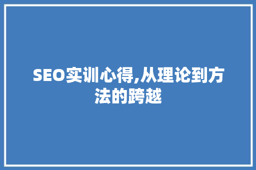 SEO实训心得,从理论到方法的跨越