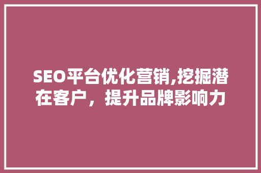SEO平台优化营销,挖掘潜在客户，提升品牌影响力