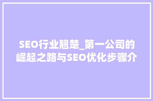 SEO行业翘楚_第一公司的崛起之路与SEO优化步骤介绍