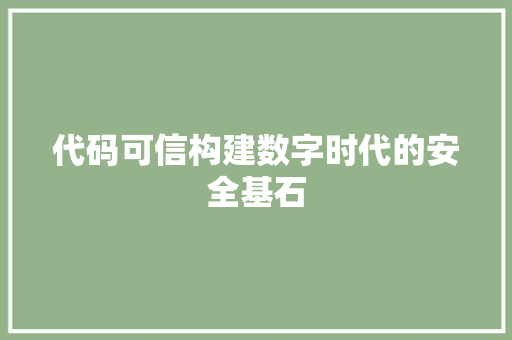 代码可信构建数字时代的安全基石