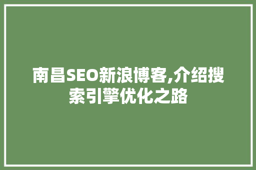 南昌SEO新浪博客,介绍搜索引擎优化之路  第1张
