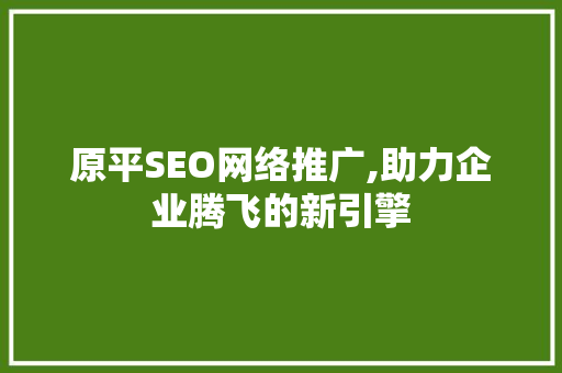 原平SEO网络推广,助力企业腾飞的新引擎