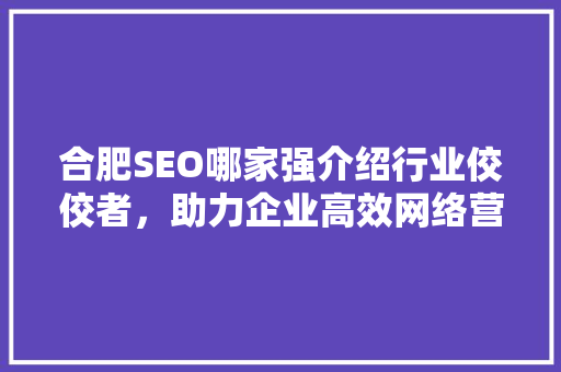 合肥SEO哪家强介绍行业佼佼者，助力企业高效网络营销