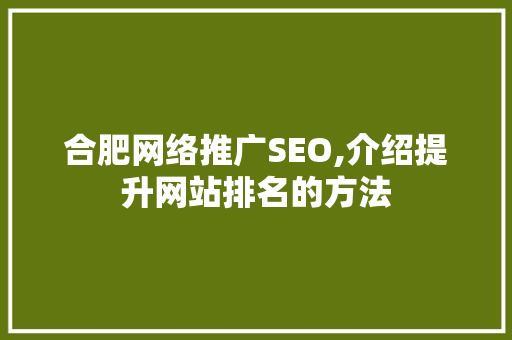 合肥网络推广SEO,介绍提升网站排名的方法