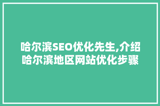 哈尔滨SEO优化先生,介绍哈尔滨地区网站优化步骤
