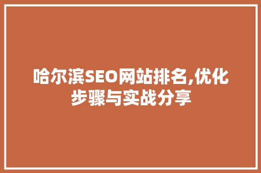 哈尔滨SEO网站排名,优化步骤与实战分享  第1张
