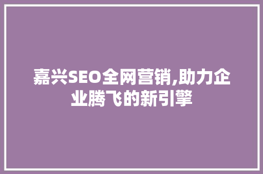 嘉兴SEO全网营销,助力企业腾飞的新引擎