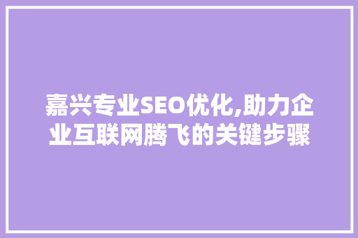 嘉兴专业SEO优化,助力企业互联网腾飞的关键步骤