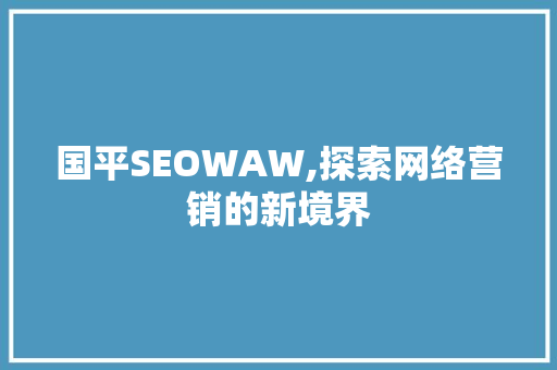国平SEOWAW,探索网络营销的新境界