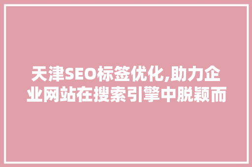 天津SEO标签优化,助力企业网站在搜索引擎中脱颖而出
