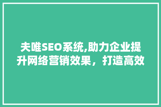 夫唯SEO系统,助力企业提升网络营销效果，打造高效互联网营销平台