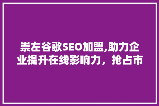 崇左谷歌SEO加盟,助力企业提升在线影响力，抢占市场先机