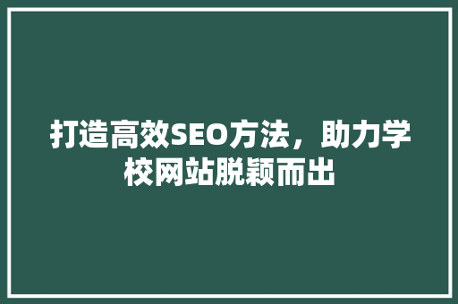 打造高效SEO方法，助力学校网站脱颖而出