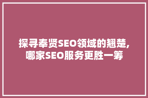 探寻奉贤SEO领域的翘楚,哪家SEO服务更胜一筹