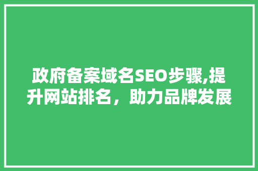 政府备案域名SEO步骤,提升网站排名，助力品牌发展