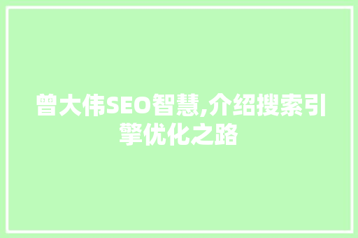 曾大伟SEO智慧,介绍搜索引擎优化之路