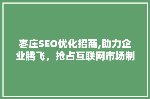枣庄SEO优化招商,助力企业腾飞，抢占互联网市场制高点