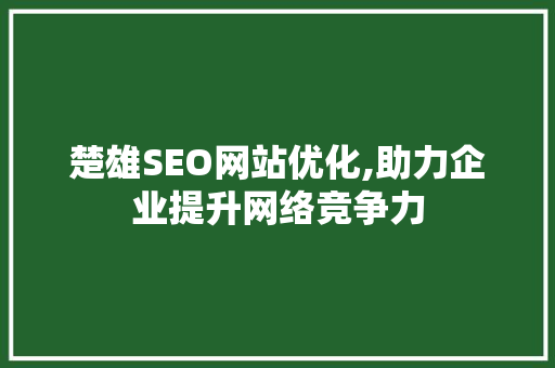 楚雄SEO网站优化,助力企业提升网络竞争力