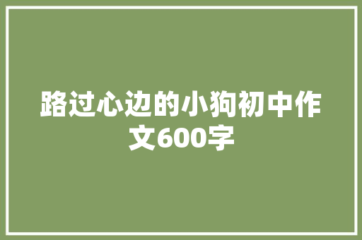 作废发票代码发票管理中的“隐形守护者”