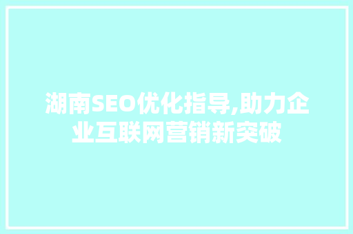湖南SEO优化指导,助力企业互联网营销新突破