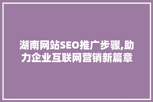 湖南网站SEO推广步骤,助力企业互联网营销新篇章