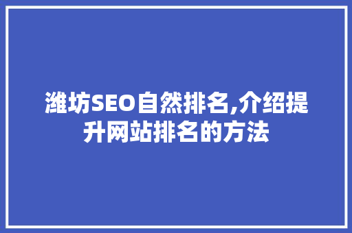 潍坊SEO自然排名,介绍提升网站排名的方法