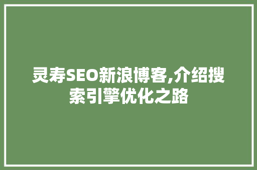 灵寿SEO新浪博客,介绍搜索引擎优化之路