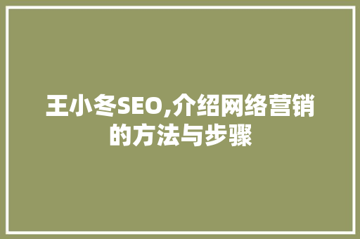 王小冬SEO,介绍网络营销的方法与步骤