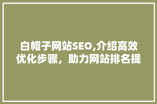 白帽子网站SEO,介绍高效优化步骤，助力网站排名提升