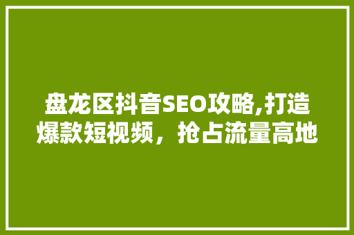 盘龙区抖音SEO攻略,打造爆款短视频，抢占流量高地