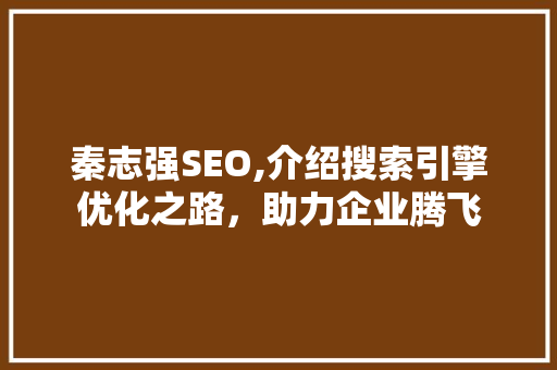 秦志强SEO,介绍搜索引擎优化之路，助力企业腾飞