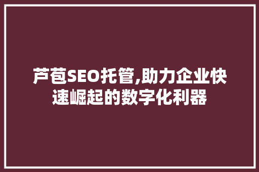 芦苞SEO托管,助力企业快速崛起的数字化利器