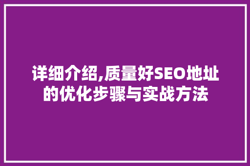 详细介绍,质量好SEO地址的优化步骤与实战方法